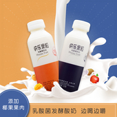 康伴快乐果粒益生菌饮品奶昔低脂营养早餐整箱355x12瓶装 椰果粒