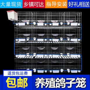 大型鴿子養(yǎng)殖籠種鴿配對(duì)肉鴿繁殖鴿子籠用品鴿舍多層室外家用養(yǎng)殖