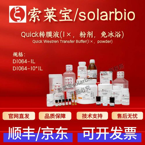索莱宝solarbio Quick转膜液(1×,粉剂,免冰浴)D1064 1L 10*1L