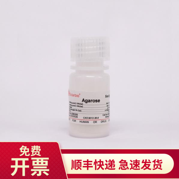 索莱宝Solarbio琼脂糖10g100g