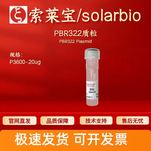索莱宝solarbio PBR322质粒 P3600 20ug 科研实验 生物试剂 现货