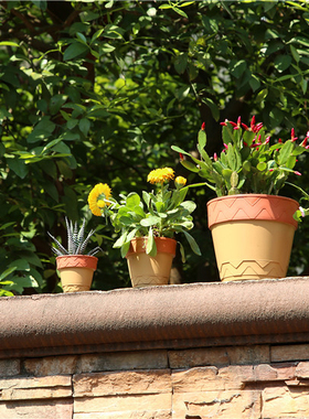 包邮加厚诚信陶土风格花树脂花盆懒人盆吸水蓄水多肉盆酢浆草盆