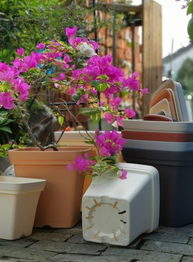 诚信花盆正方形花盆 加厚塑料树脂龟背竹彩叶芋郁金香百合三角梅