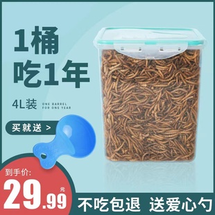面包虫干仓鼠零食黄粉虫鹦鹉鸟龟粮食金丝熊饲料刺猬黄粉虫用品4L