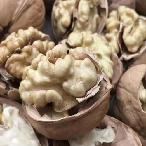 蓟县新货特产老品种清香薄皮核桃