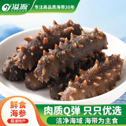 溢源鲜食海参500g厚实新鲜刺参非即食非干货霞浦海鲜独立包装