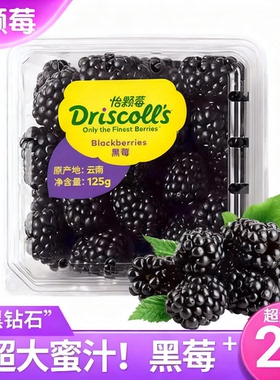 怡颗莓黑莓鲜果水果 黑梅树莓浆果宝妈孕妇新鲜水果推荐driscolls