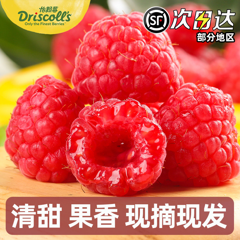 树莓新鲜水果孕妇覆盆子云南无刺泡泡蛋糕装饰鲜一颗怡颗顺丰