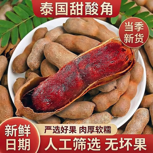 云南特产新鲜甜酸角大果孕妇开胃酸豆休闲零食酸角泰国带壳罗望子