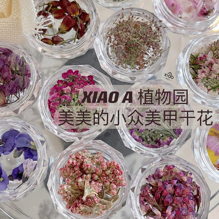 XIAOANAIL美甲干花饰品小众花瓣花叶子多色押花DIY指甲装饰品贴片