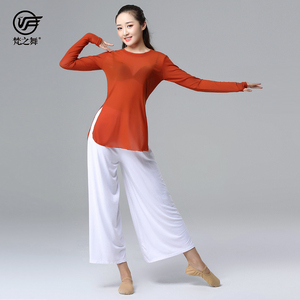 中国现代古典舞蹈服装练功服女跳舞训练教师网纱长袖上衣套装春夏