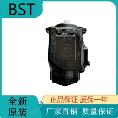 原装正品BST液压油泵SV11C-32-25-R02-C1