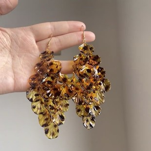 欧美时髦琥珀豹纹流苏耳钩耳环女2025新款 高级独特夸张耳饰潮 爆款