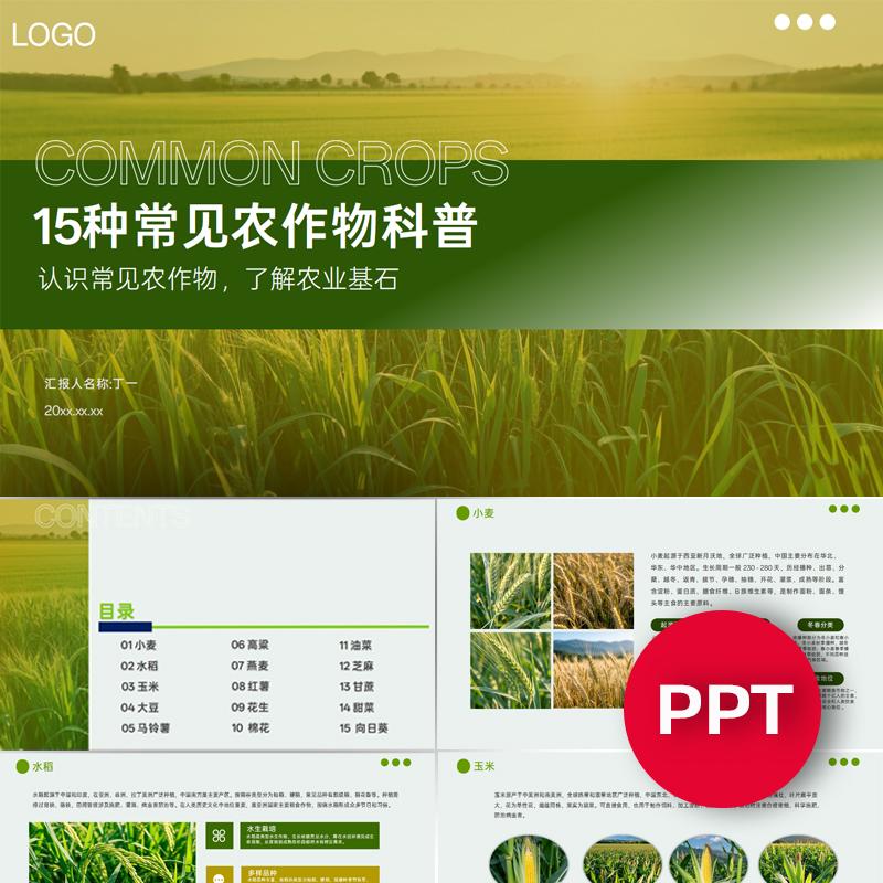 常见农作物科普图谱图鉴自然科学教育素材ppt农业学习班会实践