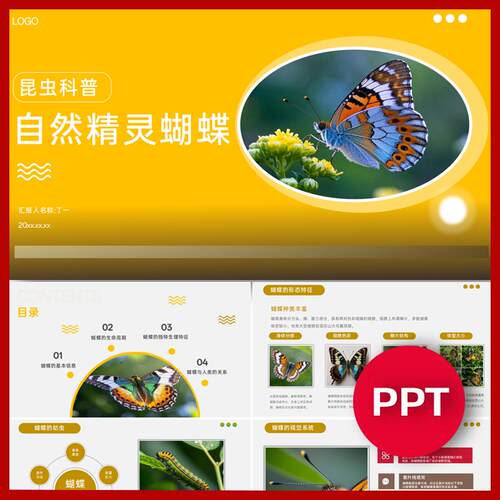 蝴蝶科普知识介绍讲解PPT昆虫自然科普班会蝴蝶ppt课件模板