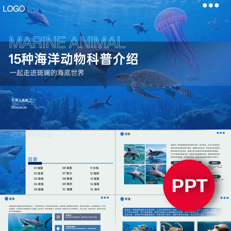 海洋动物知识科普介绍PPT模板海洋生物ppt模板自然科学班会课件