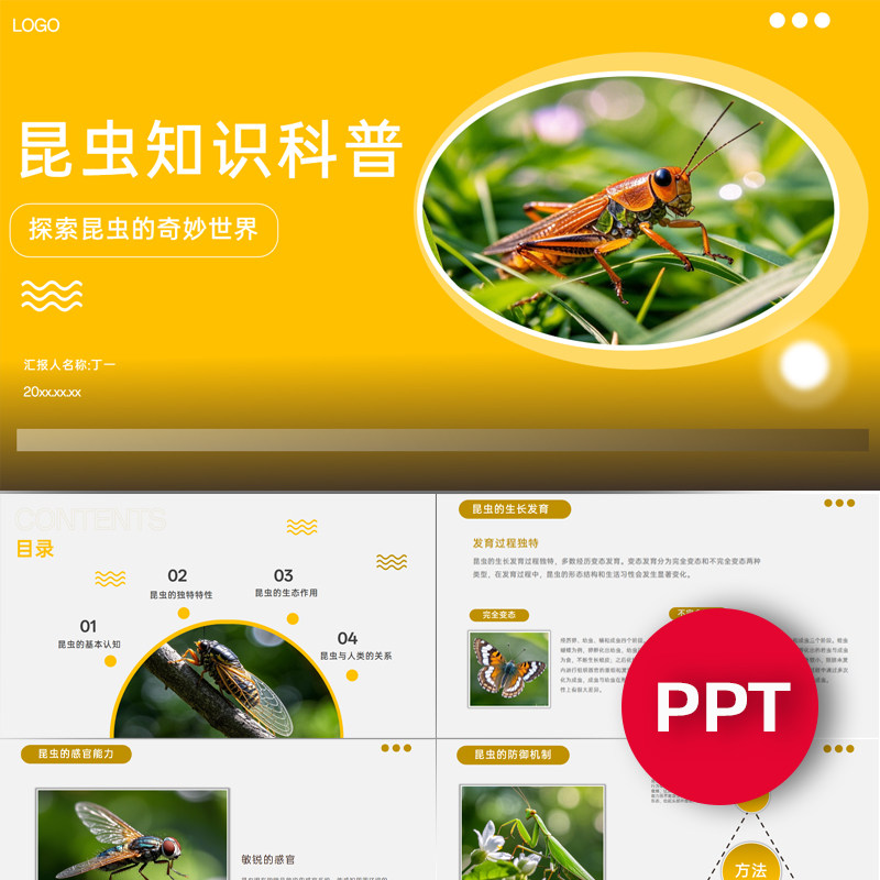 昆虫知识科普介绍ppt模板自然科学班会课堂课件昆虫的奇妙世界PPT