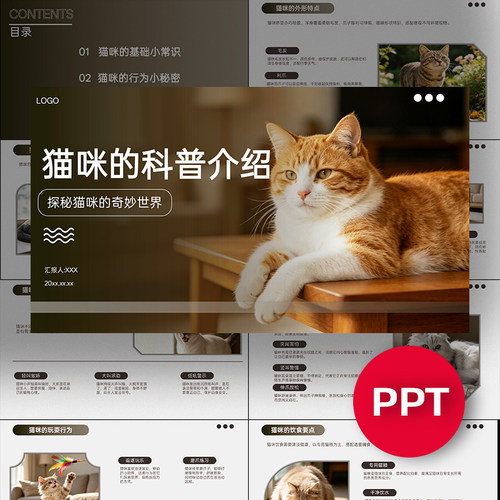 一份15页猫咪科普介绍ppt模板猫的自然科学班会演讲观察PPT课件