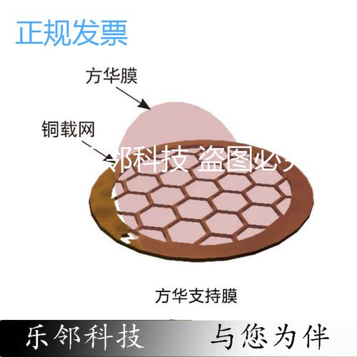 tem电镜专用单孔铜网方华膜