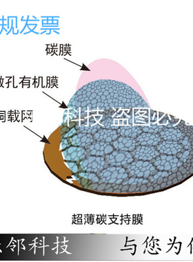 TEM电镜专用 铜网/钼网/镍网超薄碳膜金网支持膜现货电镜耗材现货