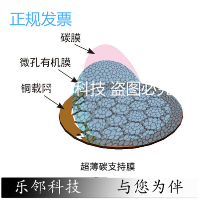 TEM电镜专用 铜网/钼网/镍网超薄碳膜金网支持膜现货电镜耗材现货