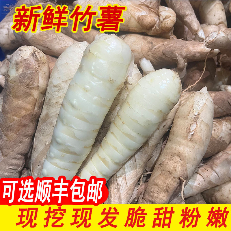 顺丰包邮广西竹薯新鲜现挖带泥冬粉薯纯正竹芋粉根茎薯类煲汤材料