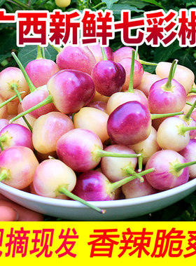 广西七彩辣椒五彩椒新鲜蔬菜