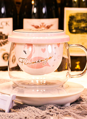 带茶漏茶水分离玻璃杯带茶隔女带把盖水果茶单层ins耐热可爱少女