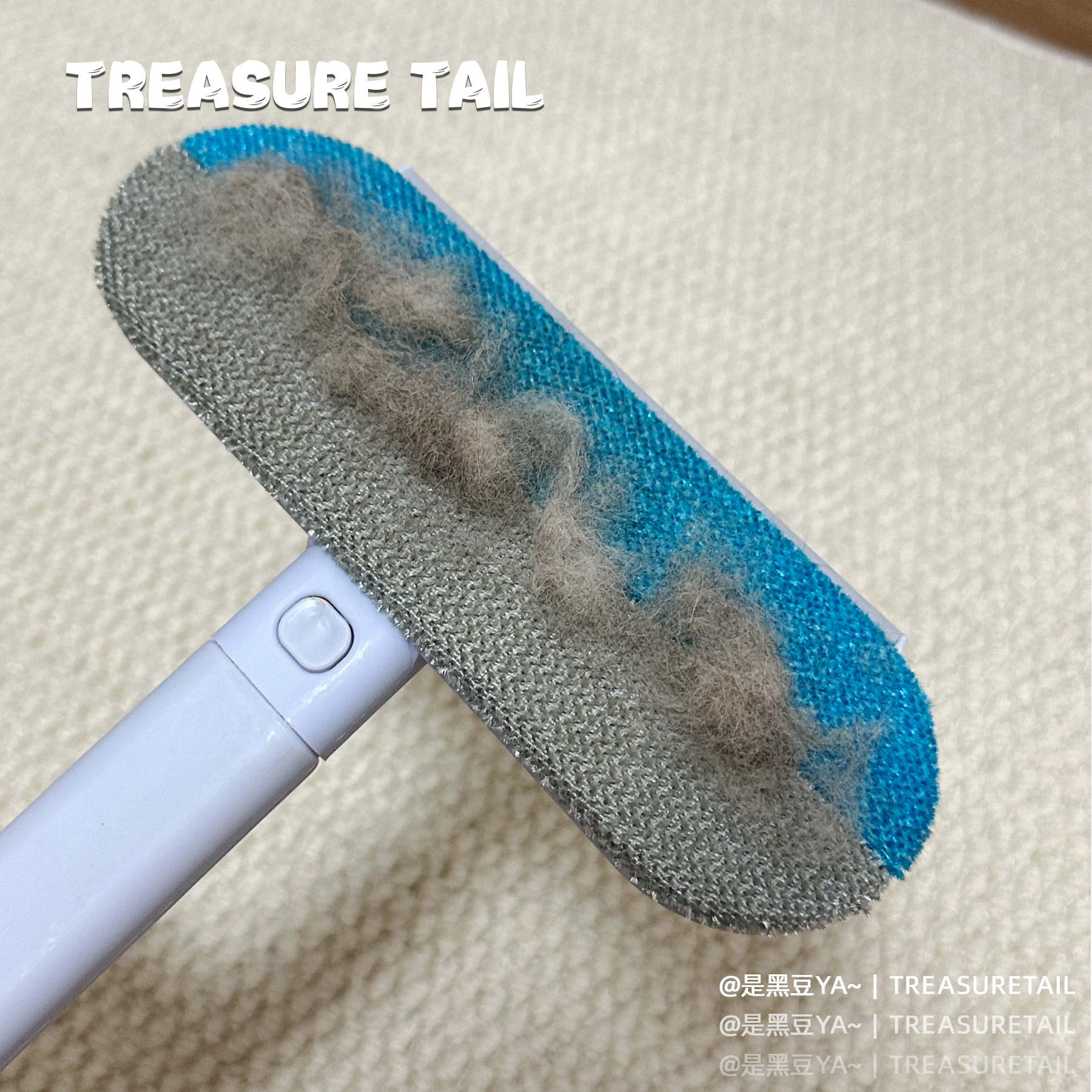 TreasureTail宠物除毛器