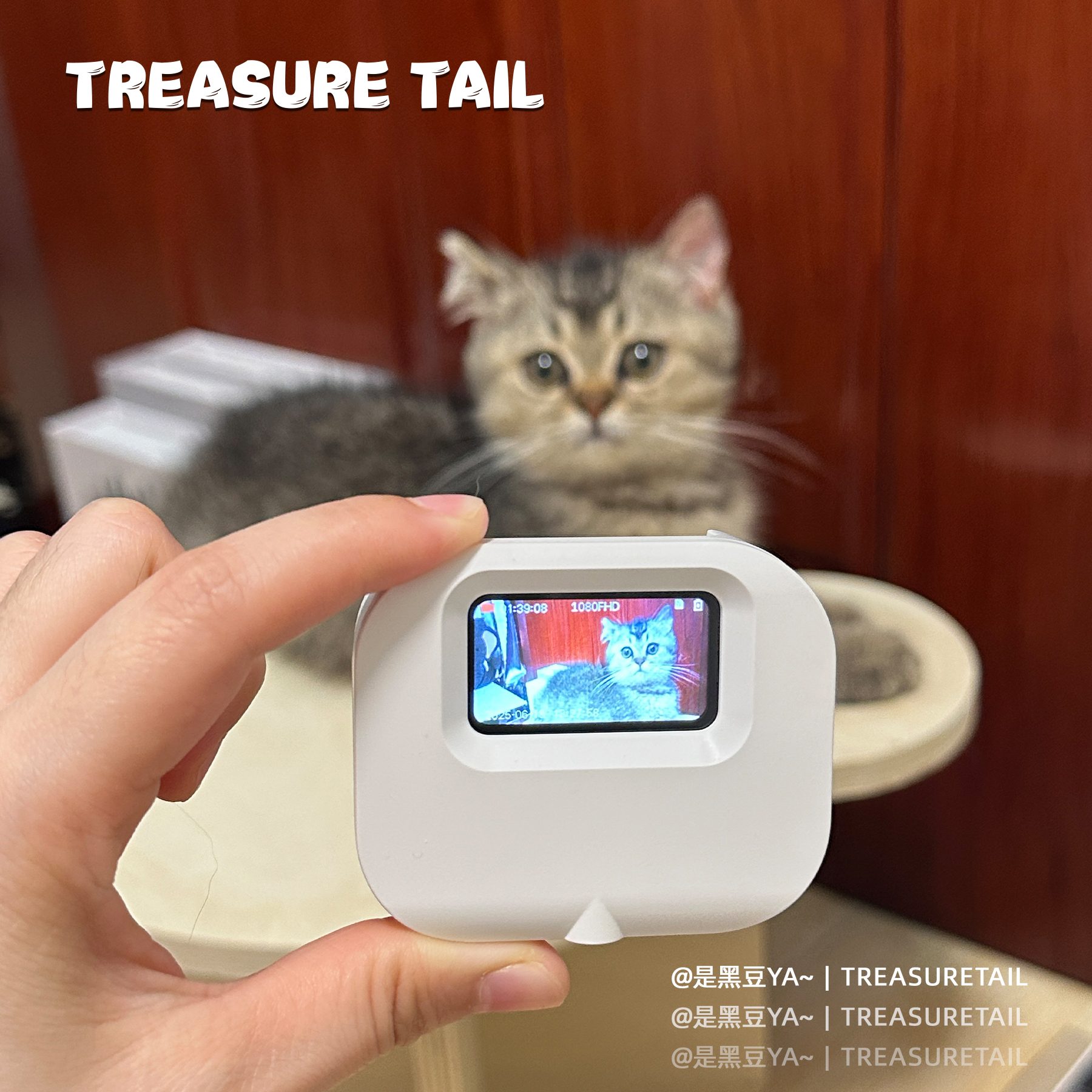 TreasureTail宠物相机