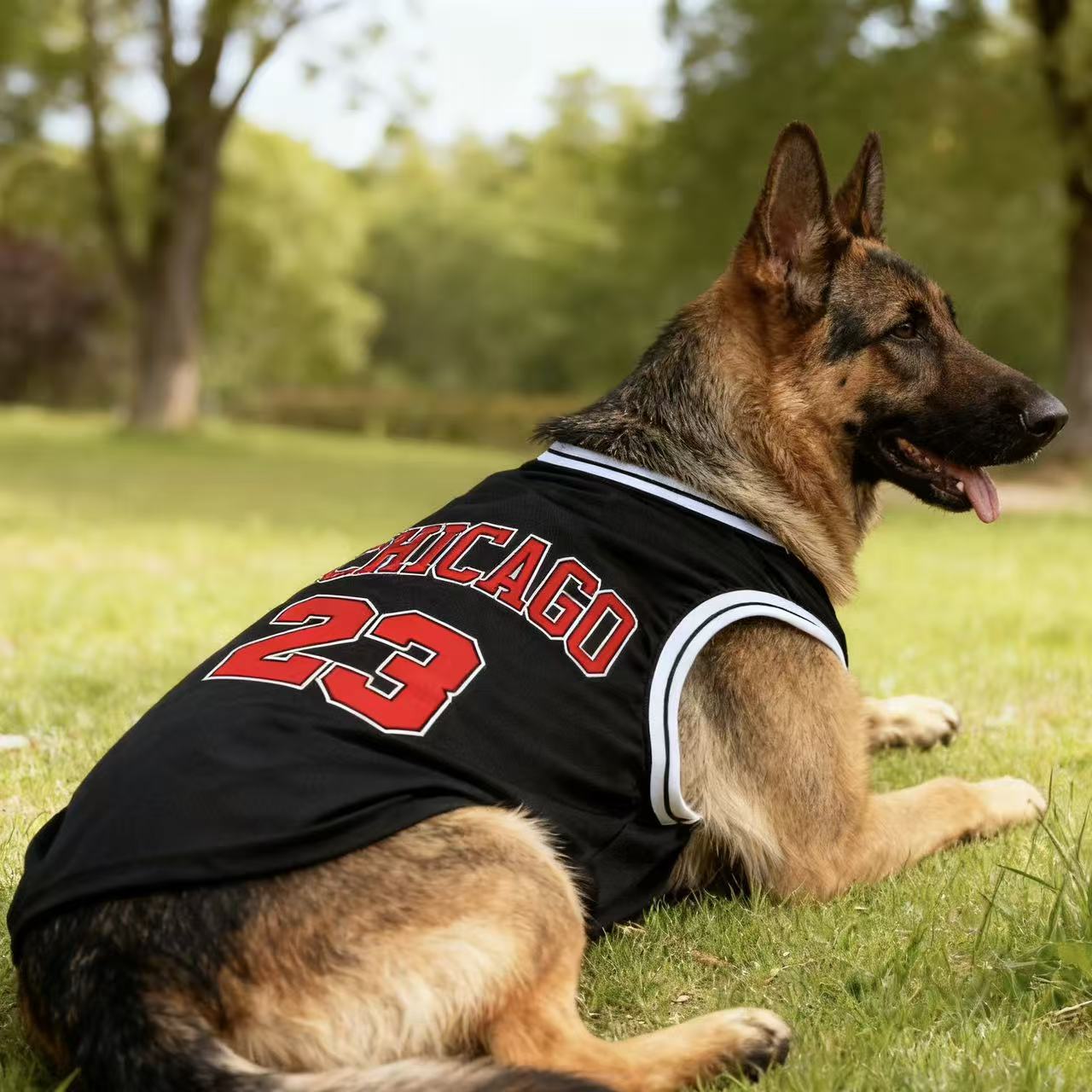 狗狗衣服大型犬薄款杜宾
