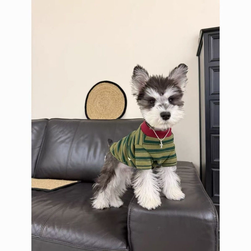 狗狗衣服春秋薄款泰迪马