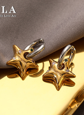 Simple Love Acc私家  镂空星星立体五角型镶钻高级感银针耳环女