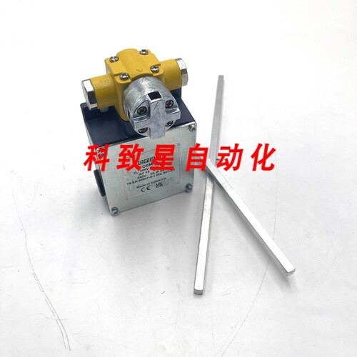 工业配件LIMIT SWITCH CSM10 EMAS ROD CROSS 200MM