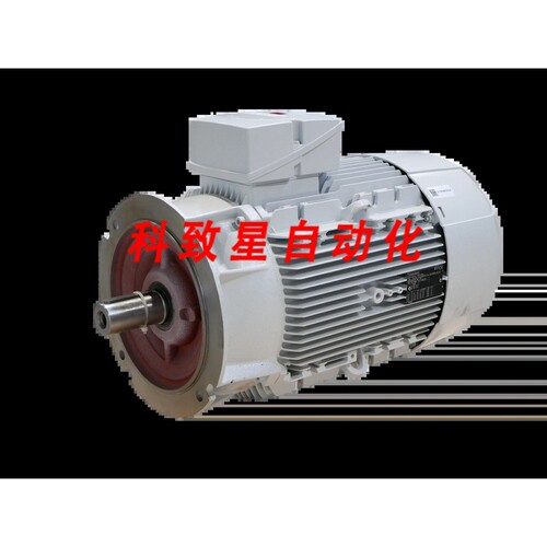 工业配件1AV3166A 1LE10031DA622FB4-Z 1LE1003-1DA62-2FB4-Z 22.