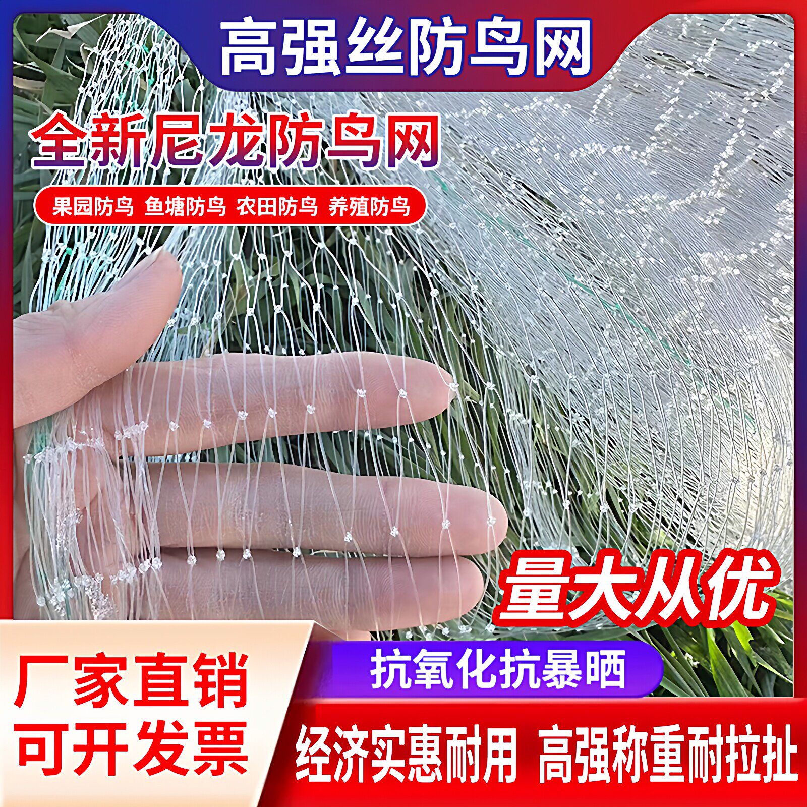 大棚果树果园樱桃葡萄草莓梨树水稻尼龙防鸟网泥鳅青蛙养殖天网