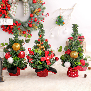 needles tree red Christmas ornaments圣诞小树 fruits Pine