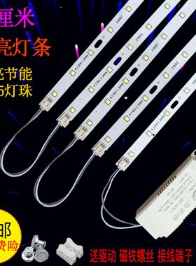 led长方形客厅灯管灯条39cm吸顶灯长条灯板31/49cm长灯板光源贴片