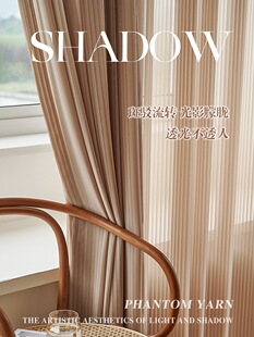 2023新款奶茶色纱窗帘透光不透人客厅竖百叶纱帘轻奢纱帘白色阳台