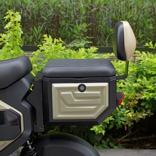 适用适用深远GT1后座储物箱GT1电动车尾箱坐人后备箱载人储物坐垫