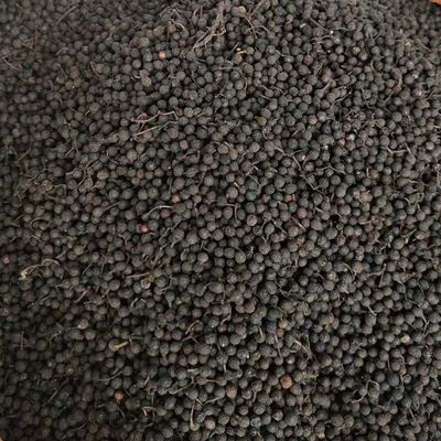 山苍子野生木姜子干货火锅调料香料枕头填充料姜菜木香子山胡椒