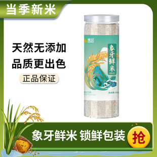能记米业台山象牙鲜米小包装锁鲜装500g罐装大米长粒香米