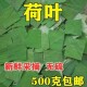 荷叶块泡茶水 新鲜干散装 荷叶茶500g微山湖野生新货荷叶茶颗粒 包邮