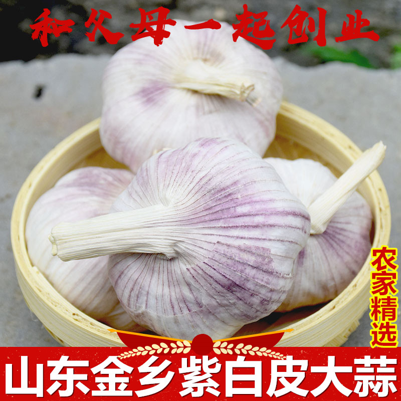 【坏必赔】大蒜头23年山东金乡大蒜5斤包邮农家自种紫白皮富硒