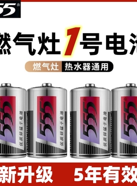 555电池1号一大号R20 SIZE D碳性1.5v燃气灶热水器手电筒电子琴用