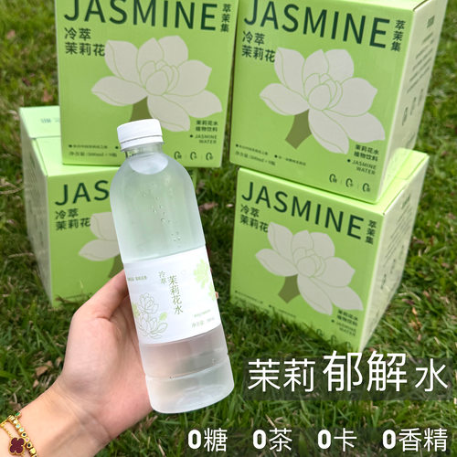广西直发「冷泡茉莉花」茉莉花水 天然茉莉花头段香 无香精