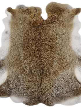 特价兔皮整张獭兔毛布料獭兔皮护膝护腰坐垫垫子兔子皮真兔毛皮料