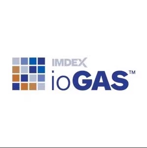 ioAnalytics ioGAS v8.2 build 202054探索性数据分析软件