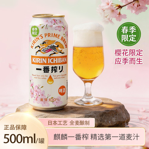 麒麟一番榨啤酒500ml听装樱花