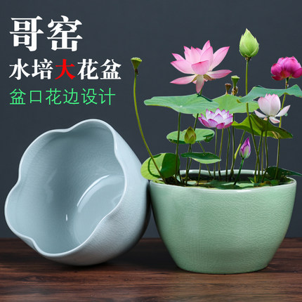 创意哥窑开片水仙花盆陶瓷复古无孔大号水培植物盆栽铜钱草水养盆